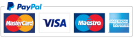 PayPal Payment Logo